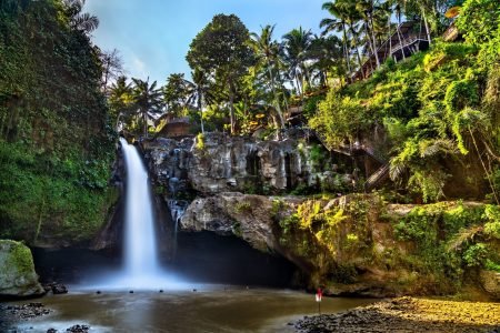 Explore Tegalalang Rice Terrace and Tegenungan Waterfall